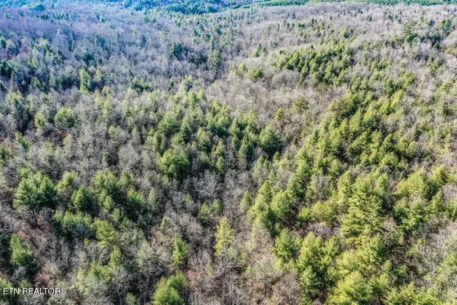 $139,900 | Nashville Avenue, Deer Lodge, TN 37726