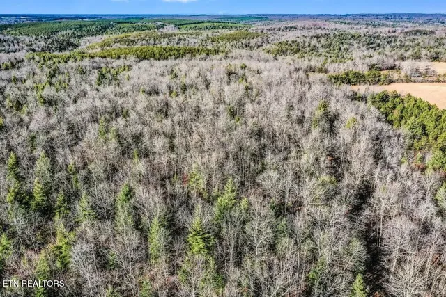 $139,900 | Nashville Avenue, Deer Lodge, TN 37726