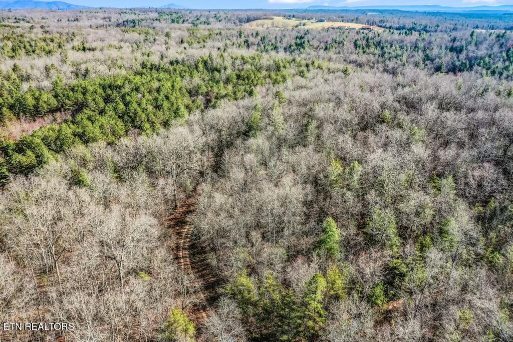 Nashville Avenue Deer Lodge, TN 37726 - Photo 6 of 24 tempImagehGyVoK