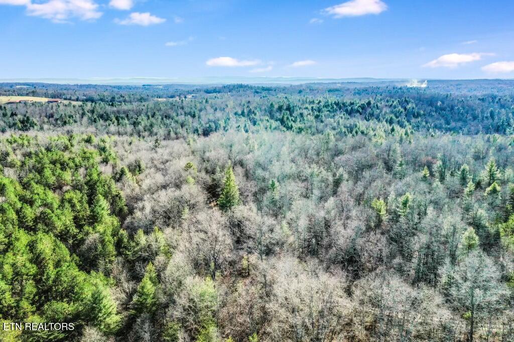 Nashville Avenue Deer Lodge, TN 37726 - Photo 8 of 24 tempImage35PsRS