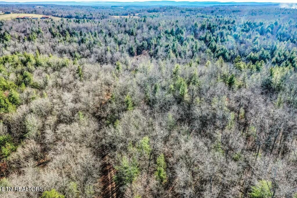 Nashville Avenue Deer Lodge, TN 37726 - Photo 9 of 24 tempImageLCI30c