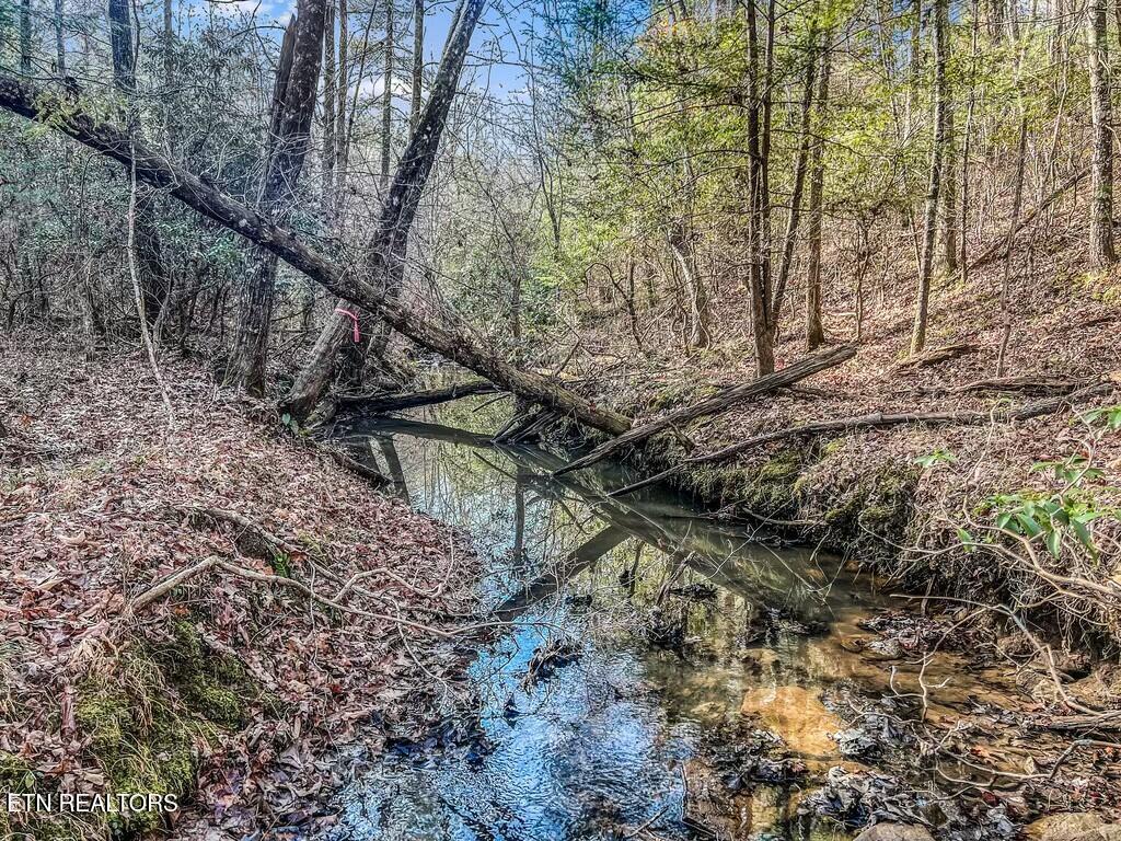 Nashville Avenue Deer Lodge, TN 37726 - Photo 10 of 24 tempImageJBc75q