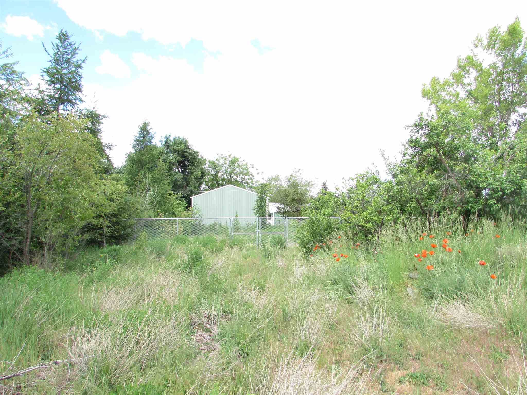 1711 North Locust Road Spokane Valley, WA 99206 - Photo 13 of 16