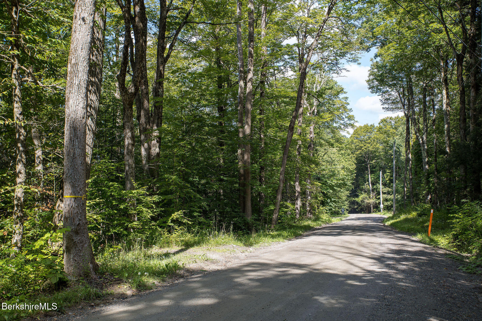 0 Mt Hunger Road Monterey, MA 01245 - Photo 11 of 14 0001