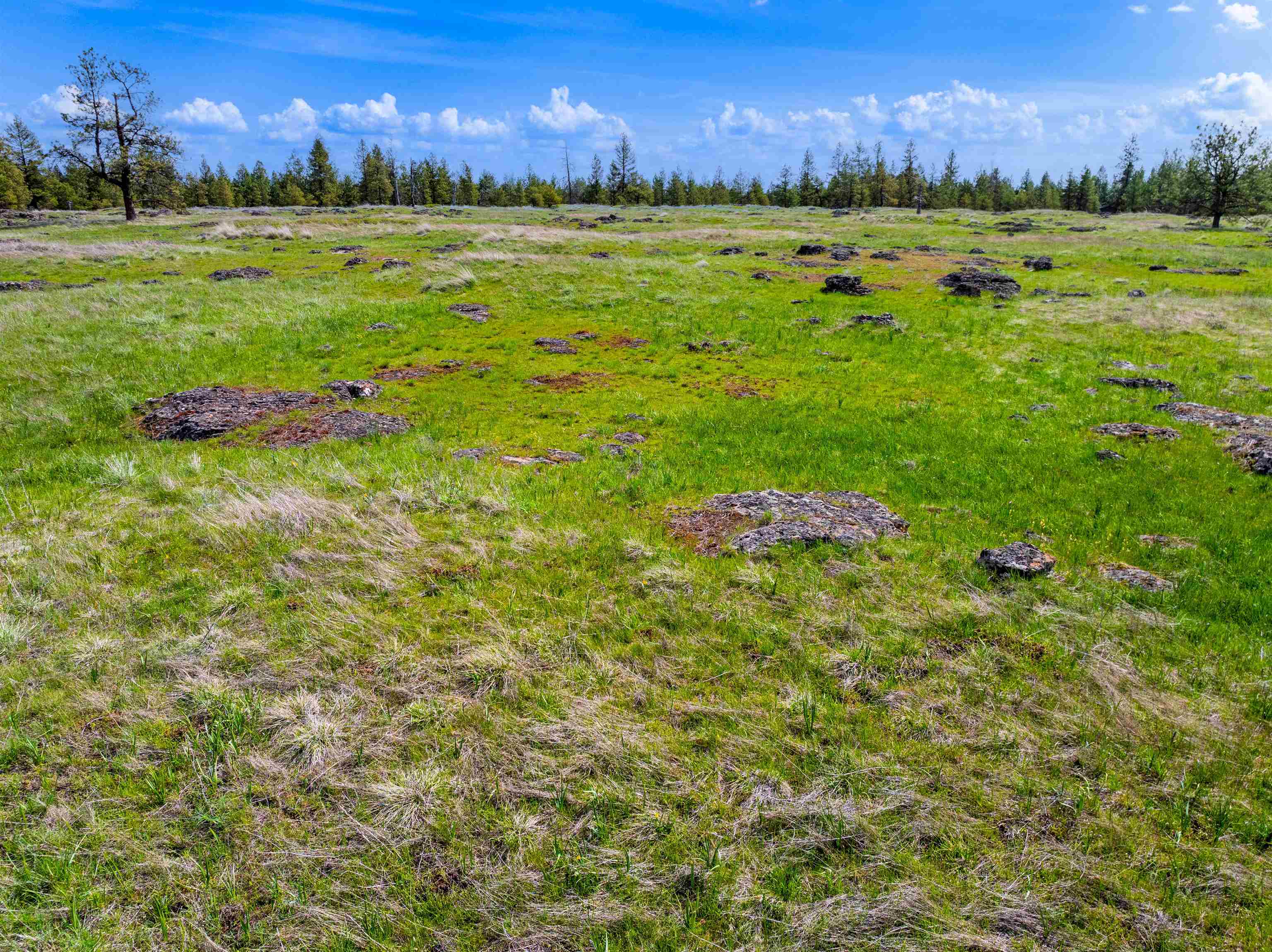 21-xxx South Harrison Road Edwall, WA 99008 - Photo 8 of 10
