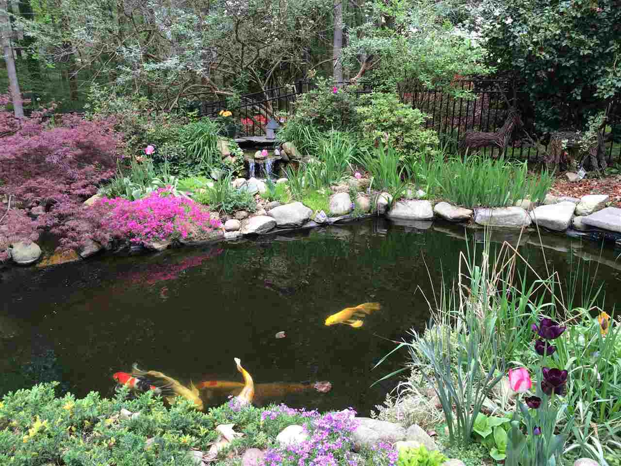 2012 Corberrie Lane Raleigh, NC 27613 - Photo 24 of 25 Koi Pond