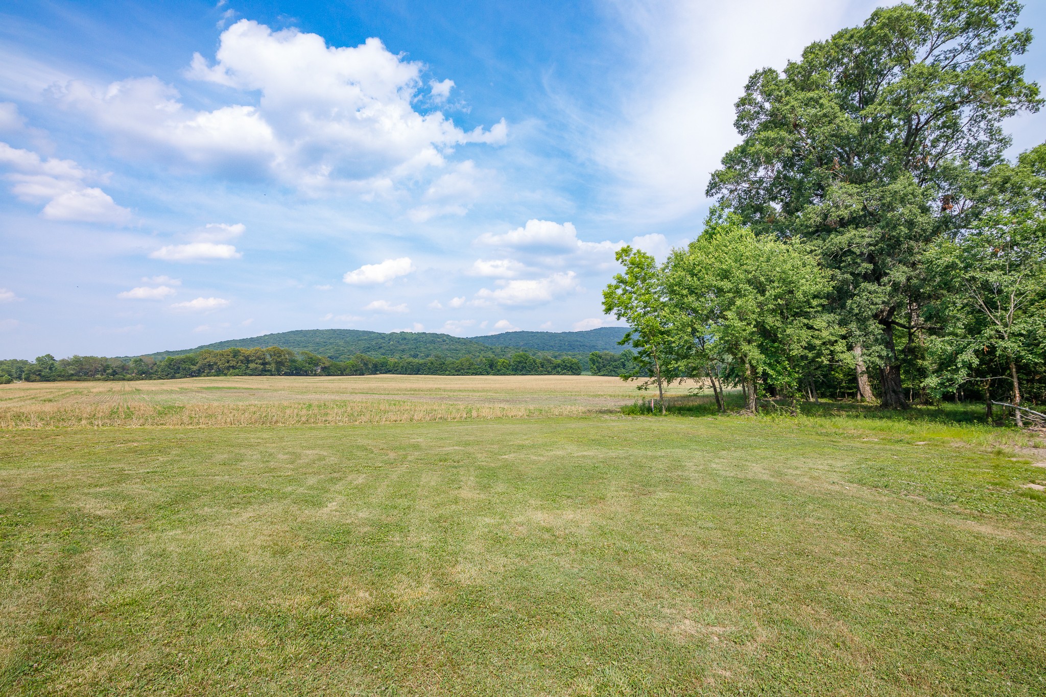 5362 Hillsboro Viola Road Manchester, TN 37355 - Photo 8 of 52