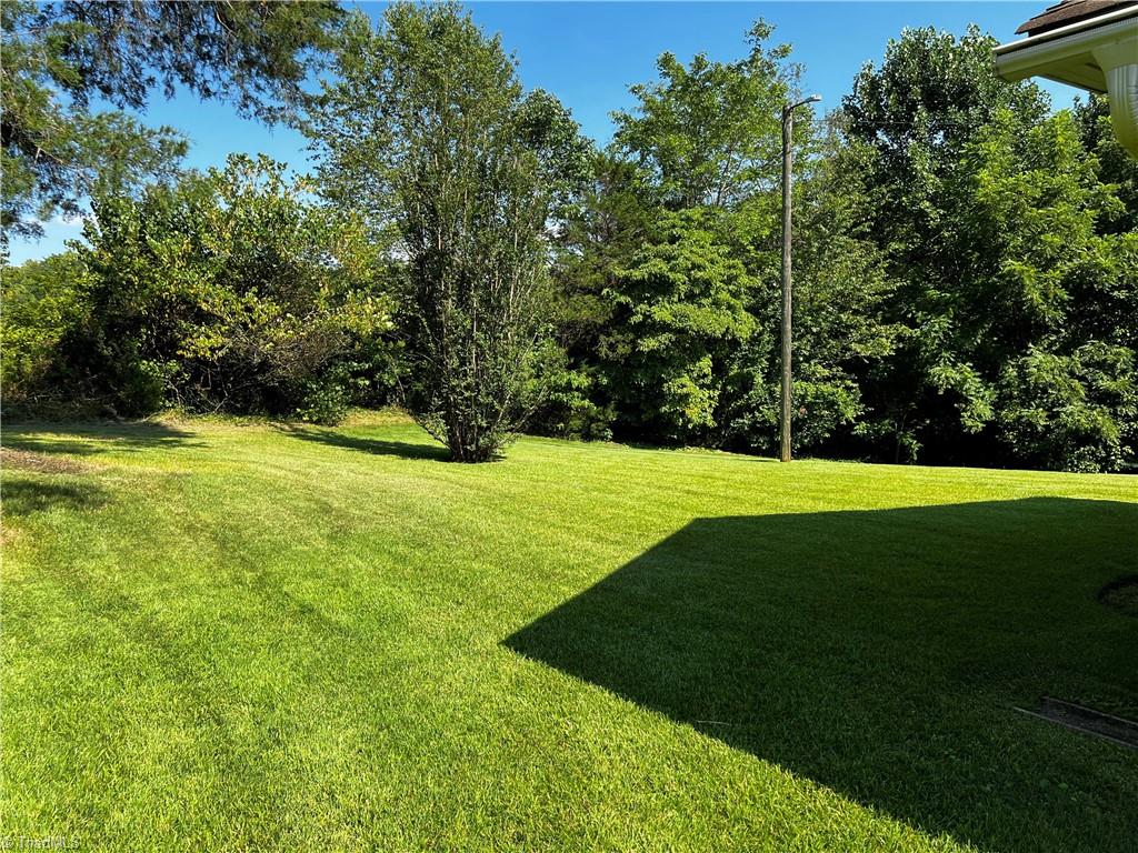 8837 Reynolda Road Pfafftown, NC 27040 - Photo 3 of 13 SIDE YARD