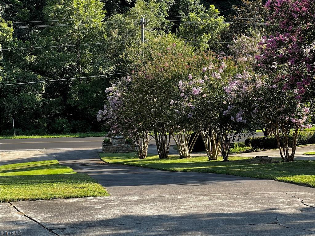 8837 Reynolda Road Pfafftown, NC 27040 - Photo 4 of 13 DRIVEWAY ENTRY