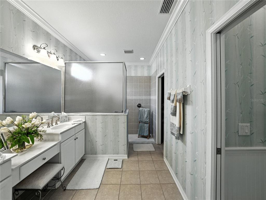 2530 Cross More Street Valrico, FL 33594 - Photo 43 of 61 a bathroom with a bathtub and a shower