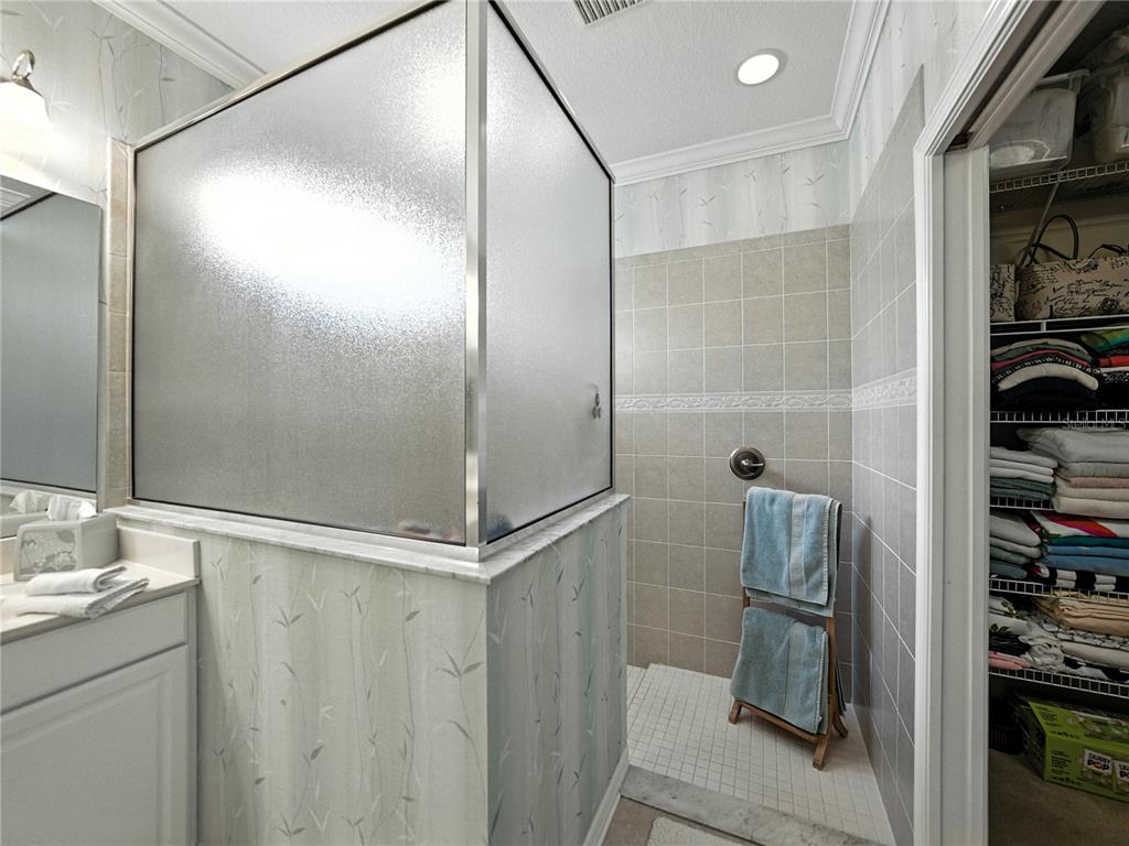 2530 Cross More Street Valrico, FL 33594 - Photo 46 of 61 a bathroom with a shower and a sink