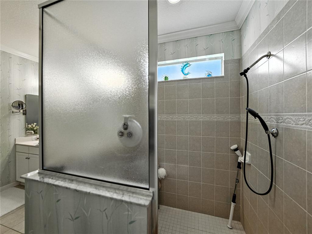 2530 Cross More Street Valrico, FL 33594 - Photo 47 of 61 a bathroom with a shower
