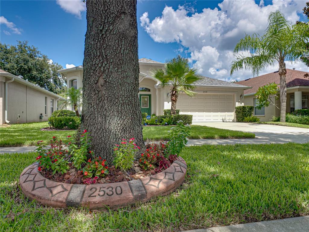 2530 Cross More Street Valrico, FL 33594 - Photo 6 of 61 a front view of a house with a yard