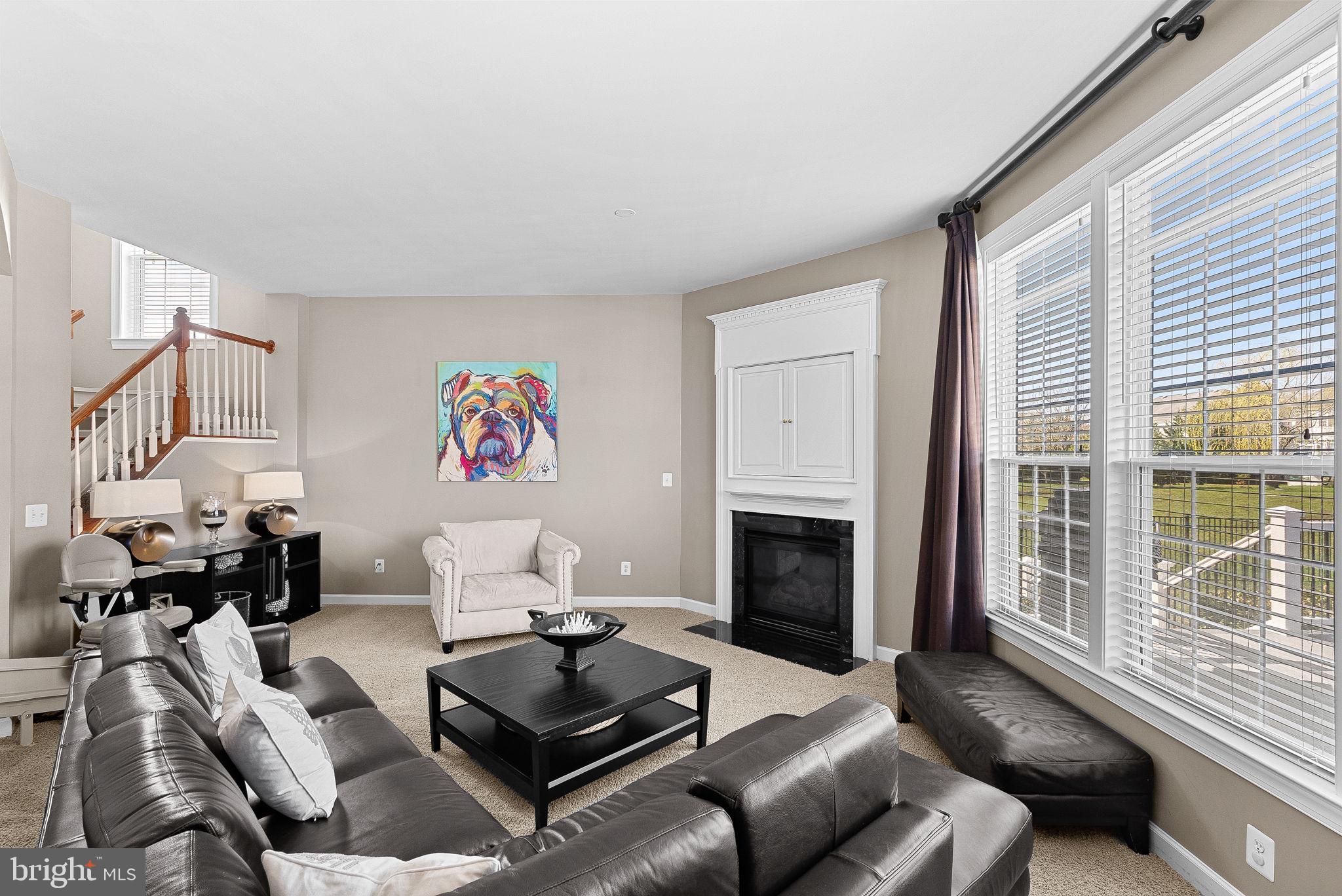 22461 Terra Rosa Place Ashburn, VA 20148 - Photo 16 of 67 a living room with furniture window and a fireplace