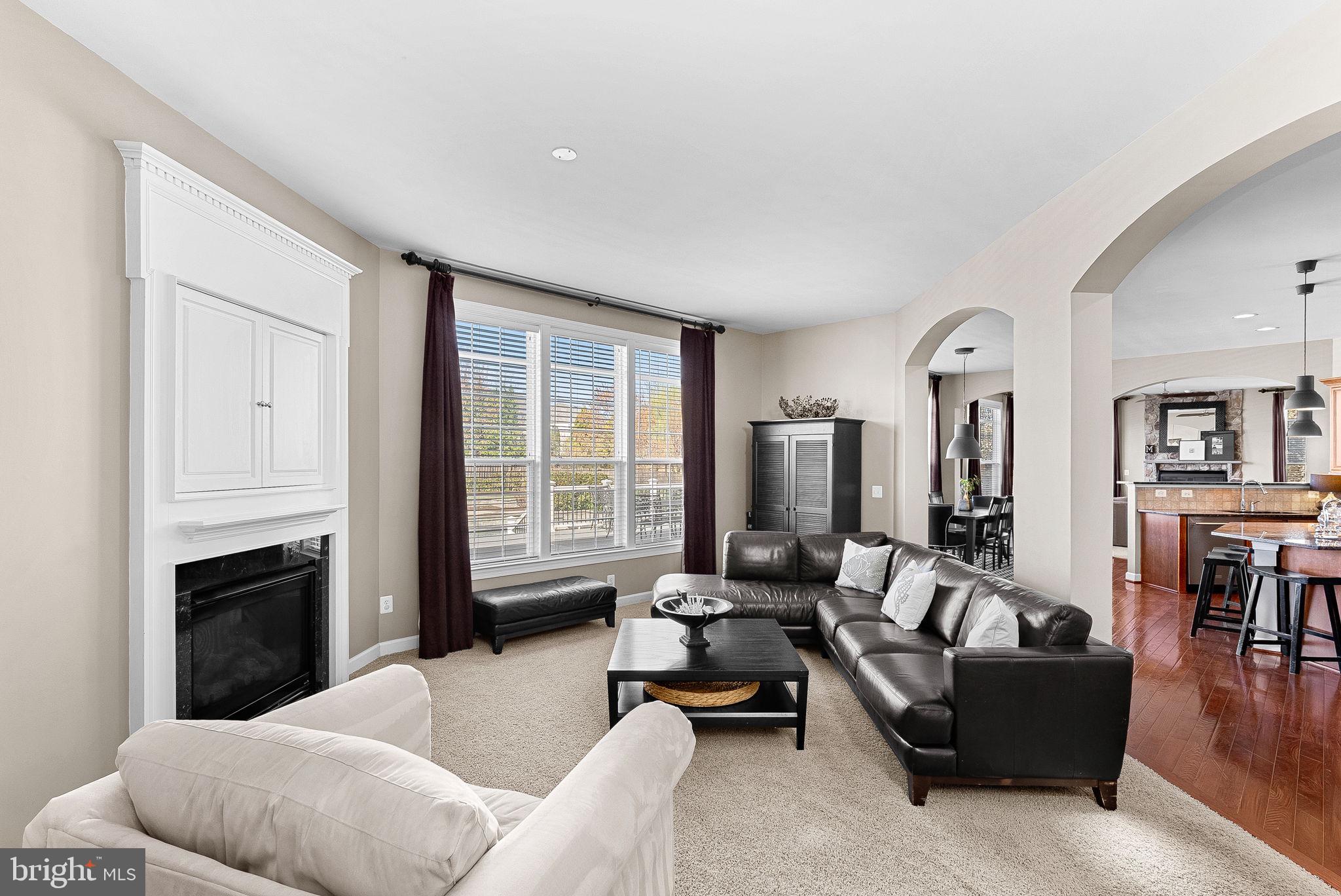 22461 Terra Rosa Place Ashburn, VA 20148 - Photo 17 of 67 a living room with furniture and a fireplace
