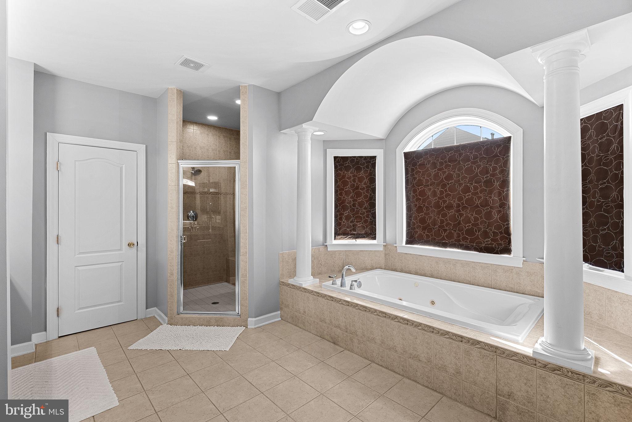 22461 Terra Rosa Place Ashburn, VA 20148 - Photo 26 of 67 a spacious bathroom with a bathtub and a shower