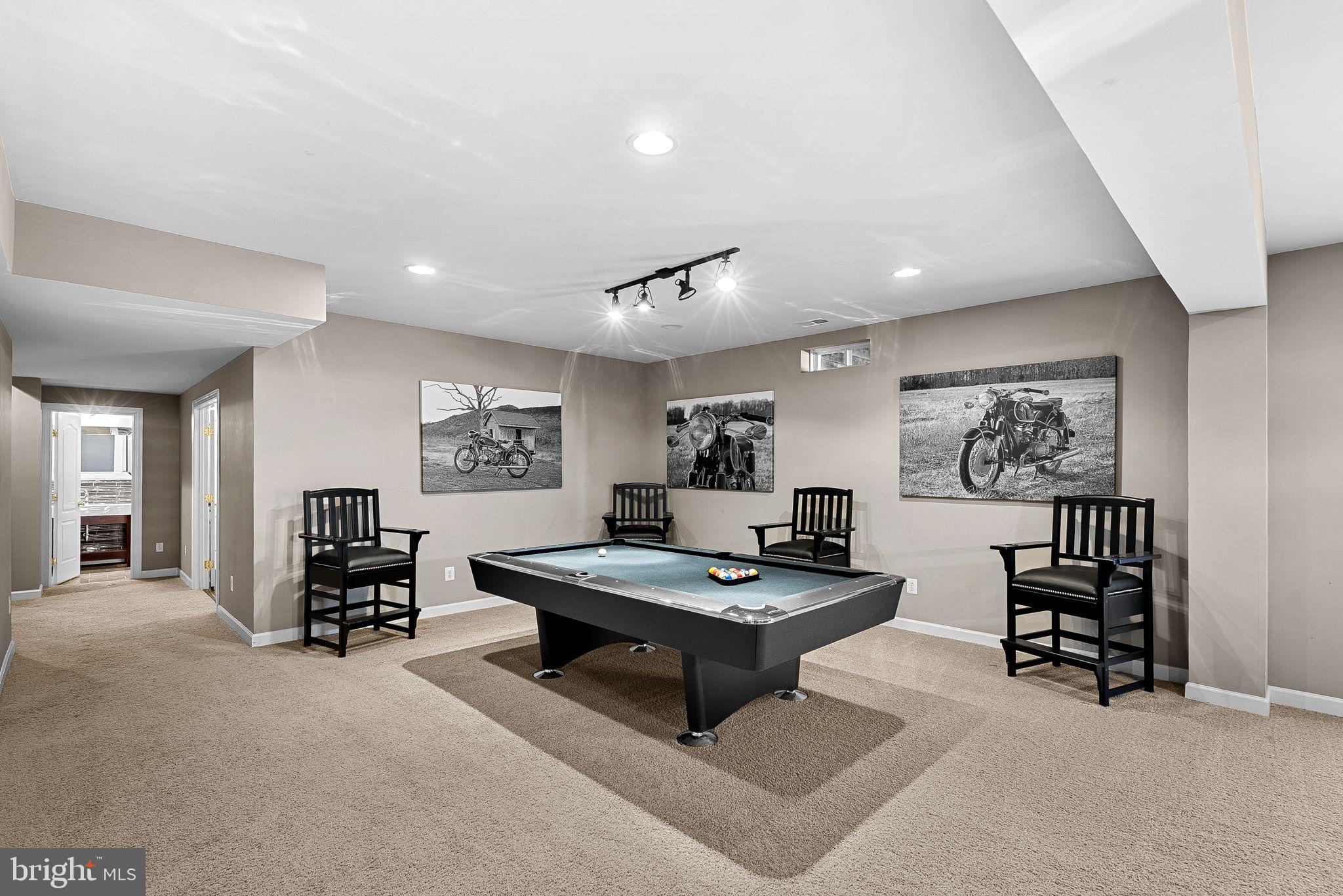 22461 Terra Rosa Place Ashburn, VA 20148 - Photo 43 of 67 Lower Level - Recreation Room