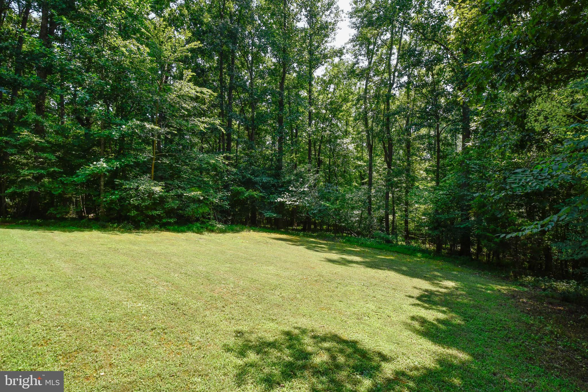 329 Cedar Ridge Drive Ruther Glen, VA 22546 - Photo 37 of 37
