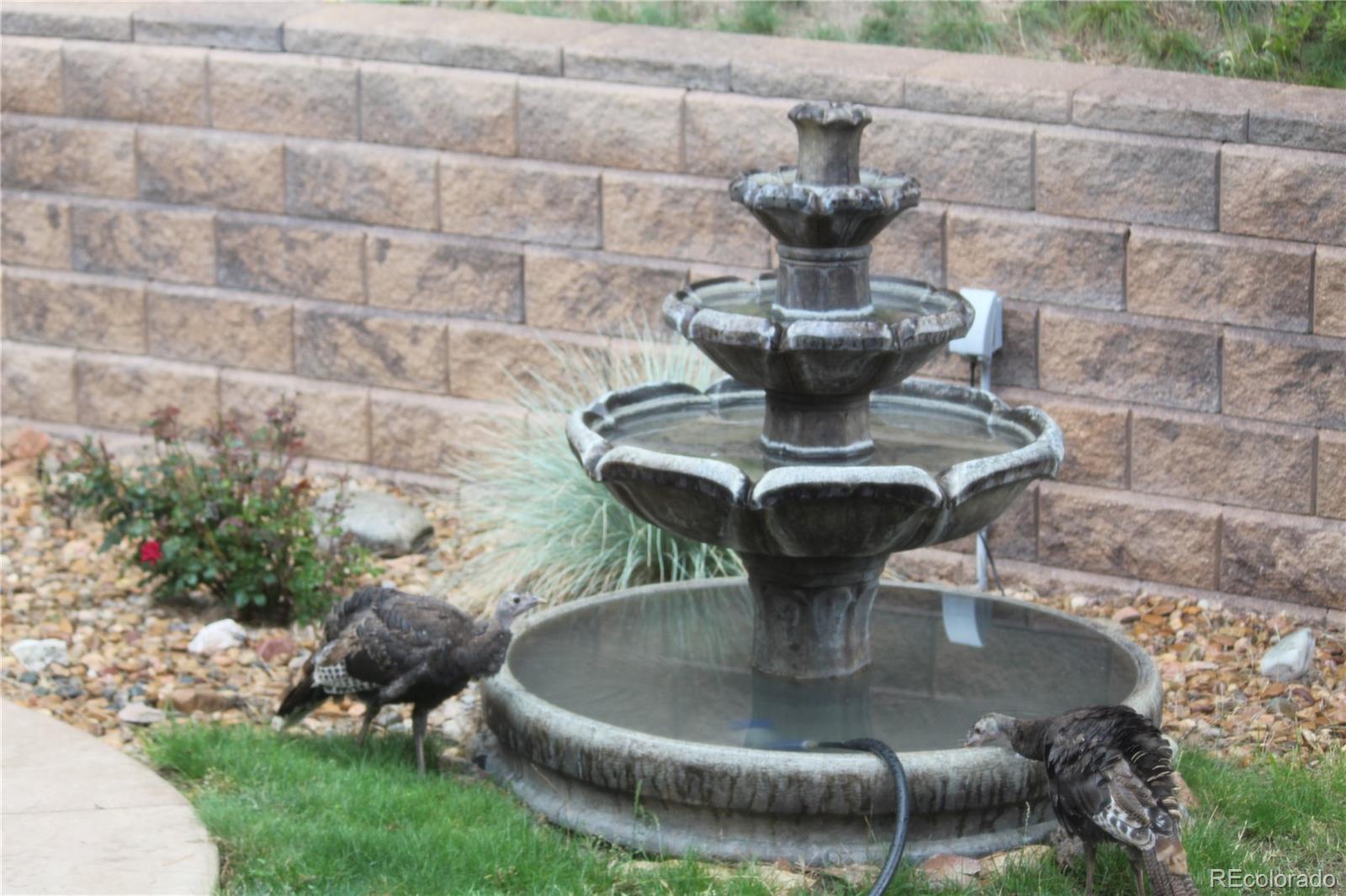 620 Cumberland Road Larkspur, CO 80118 - Photo 30 of 32