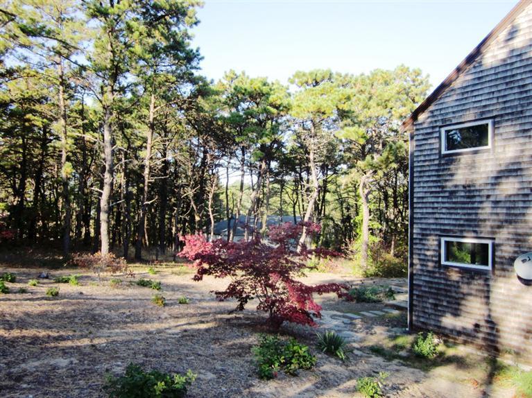 21 Tecumseh Road Wellfleet, MA 02667 - Photo 29 of 33 a view of outdoor space and yard