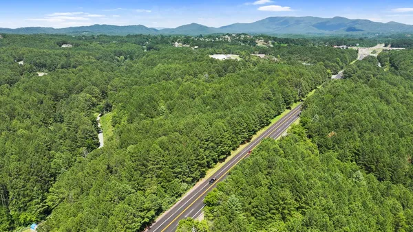 a view of a lush green forest with a mountain in the background