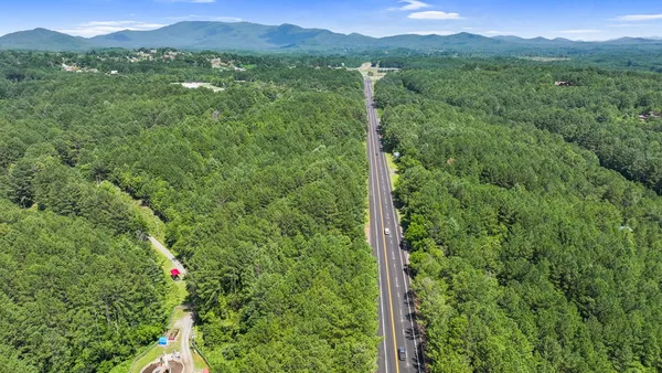 a view of a lush green field with a tree in the background