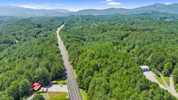 a view of a lush green forest with trees