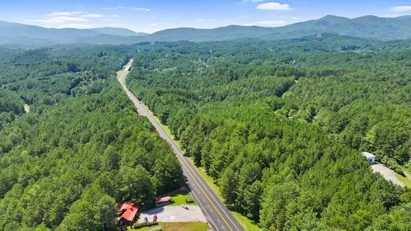 a view of a forest with a mountain