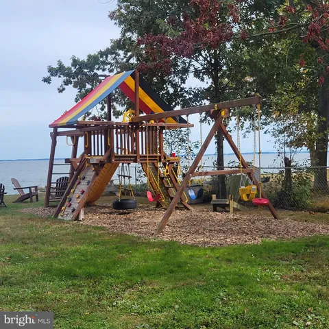 a view of a yard with an tree