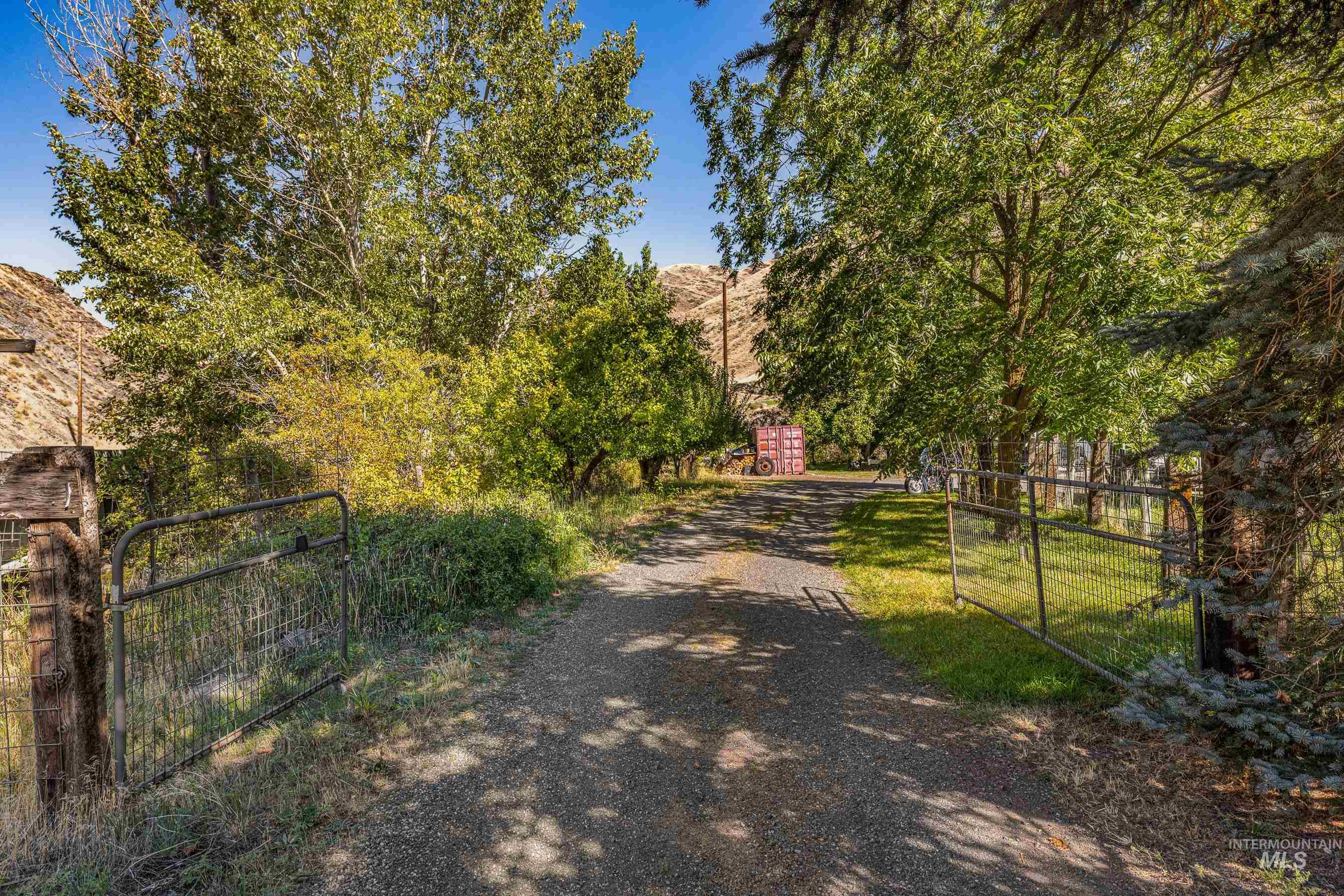 7026 S Highway Riggins, ID 83549 - Photo 8 of 50 Gravel driveway flanked by mature trees and a wire mesh gate