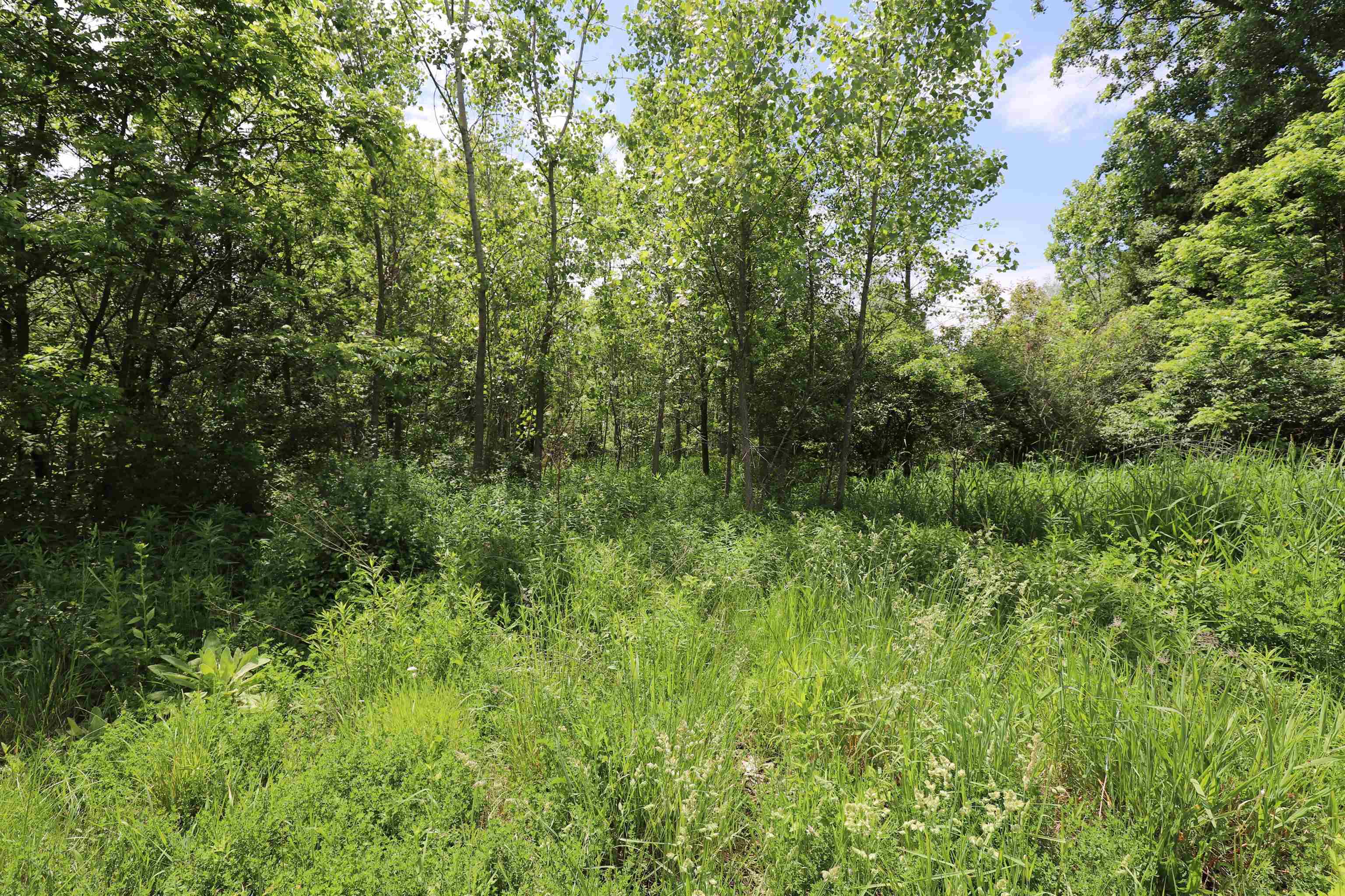 Potter Road Flushing, MI 48433 - Photo 4 of 6