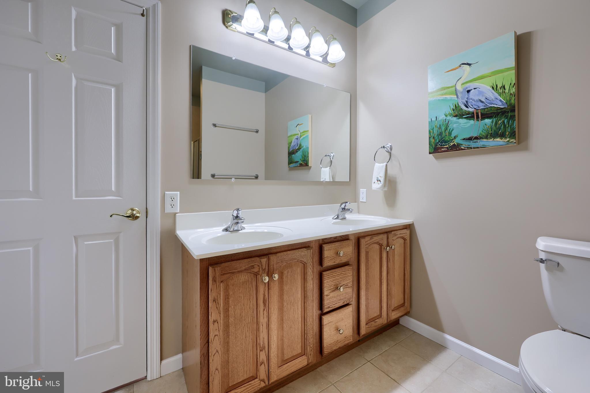 520 Providence Court Lititz, PA 17543 - Photo 18 of 44 a bathroom with a sink a toilet and mirror