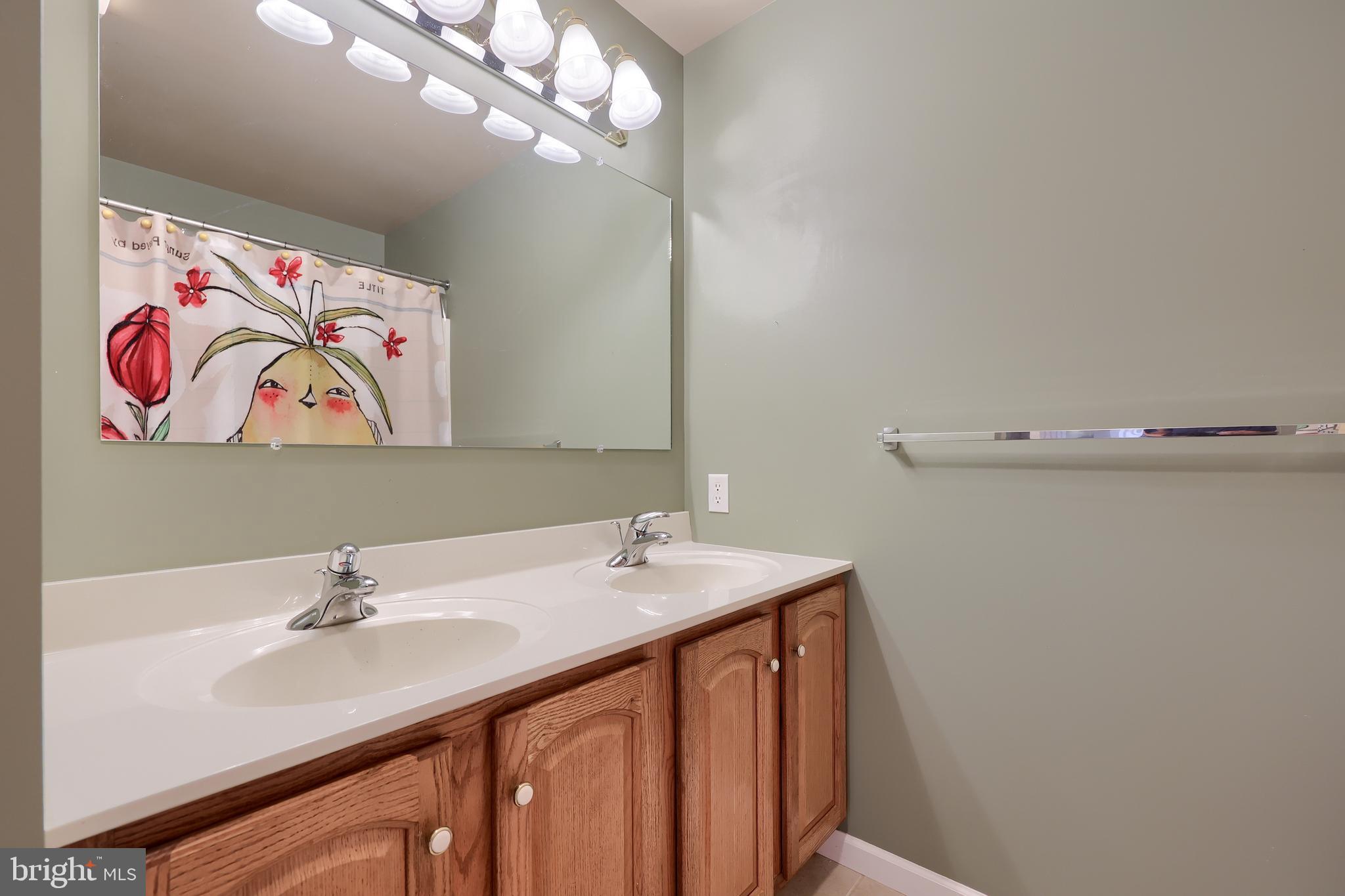 520 Providence Court Lititz, PA 17543 - Photo 22 of 44 a bathroom with a sink vanity and a mirror
