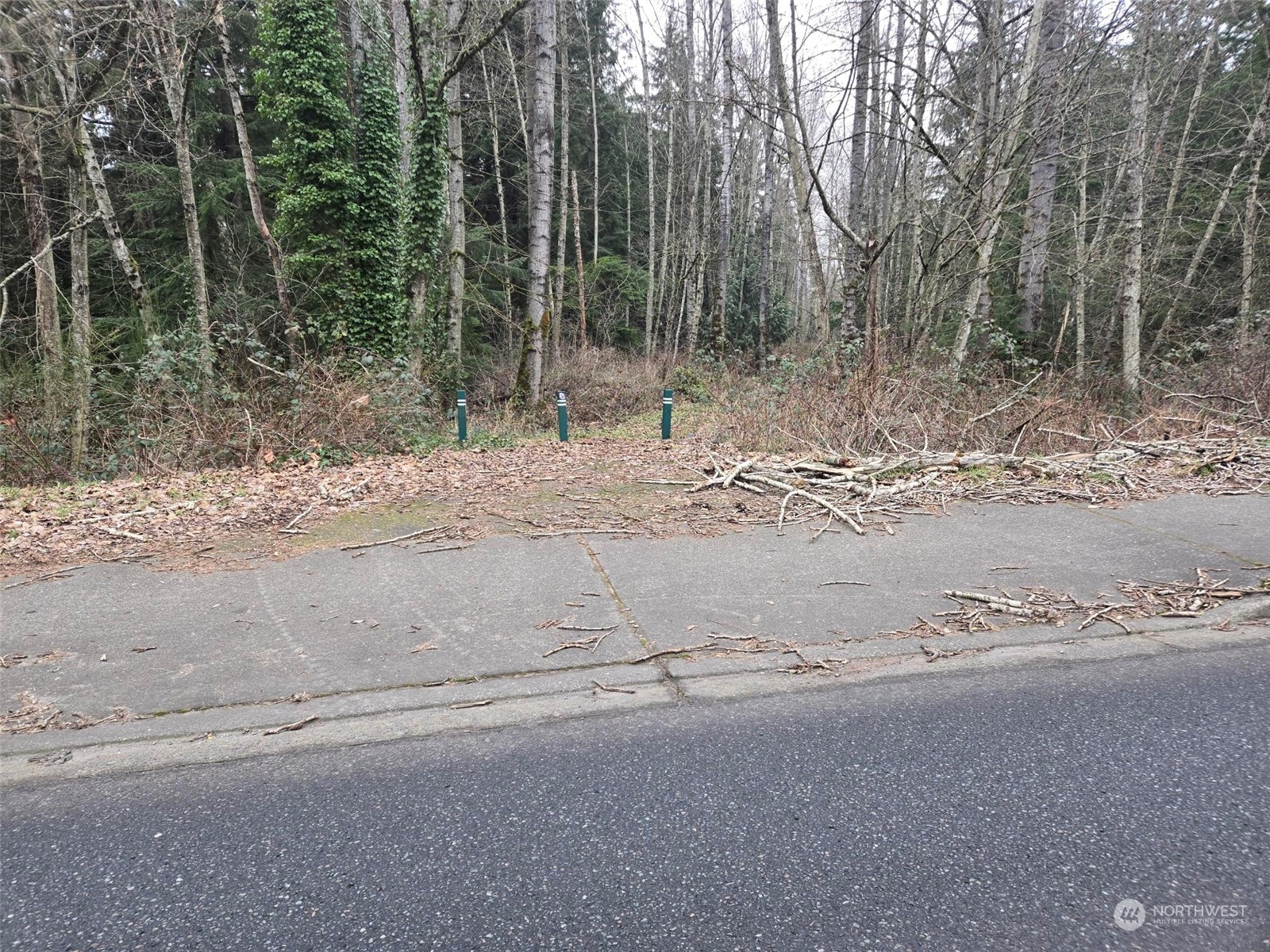 13302 Southeast Petrovitsky Road Renton, WA 98058 - Photo 11 of 21 Gallery Image 11