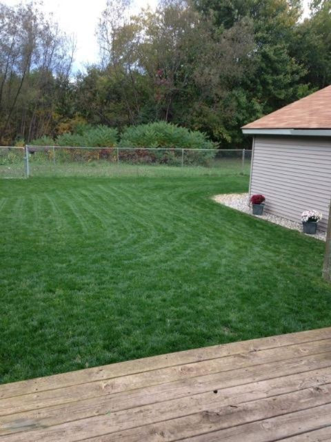 image1