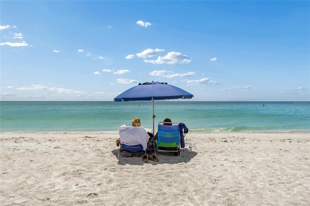 15400 Gulf Boulevard, Unit 402 Madeira Beach, FL 33708 - Photo 39 of 53