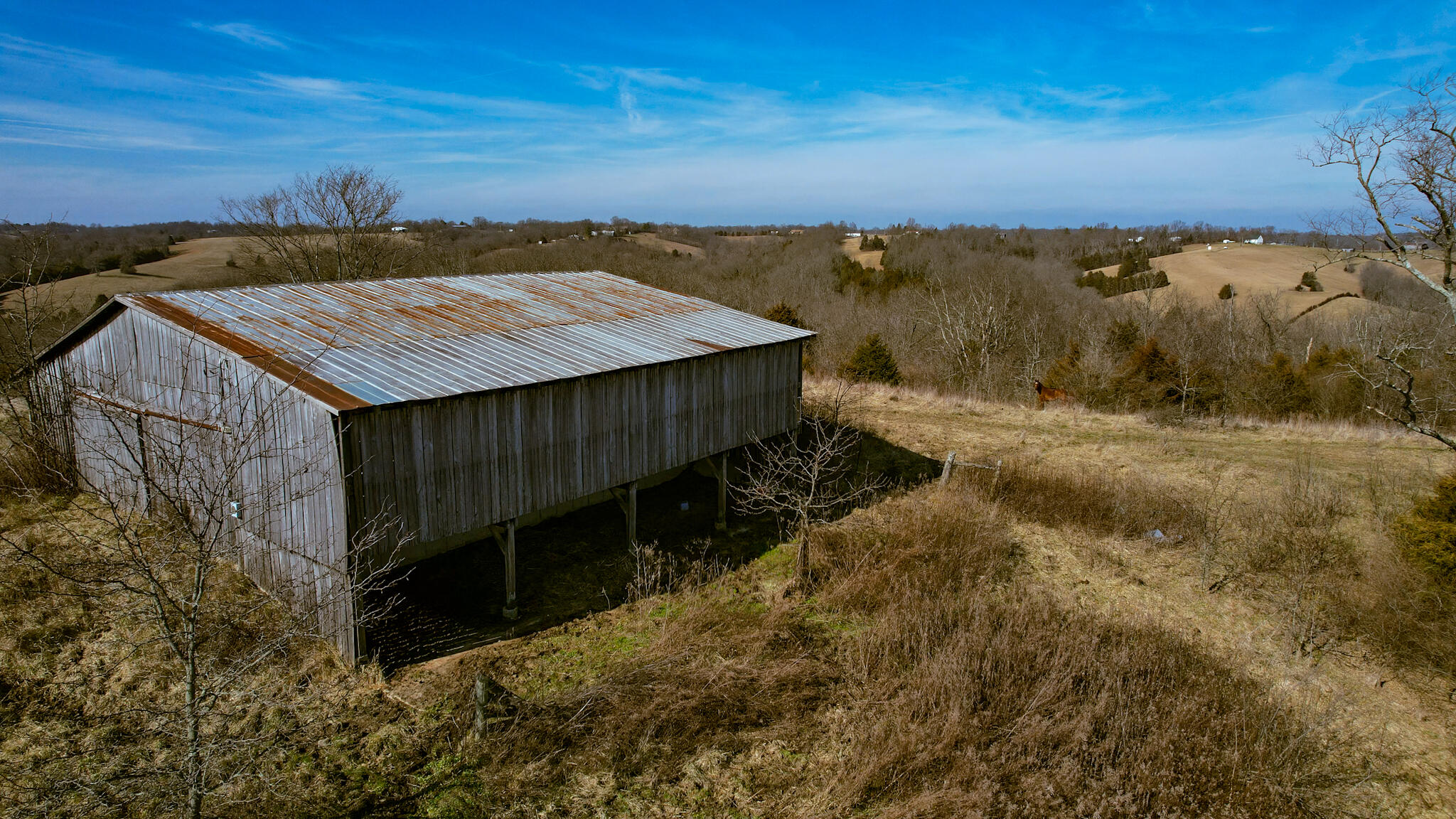4705 Lemon Northcutt Road Dry Ridge, KY 41035 - Photo 6 of 25