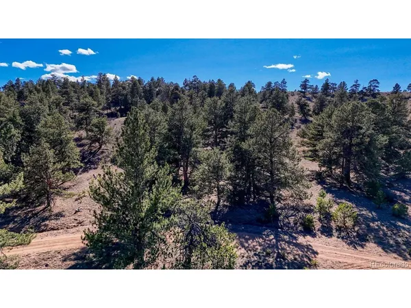$40,000 | 5124 Arikara Trail, Hartsel, CO 80449