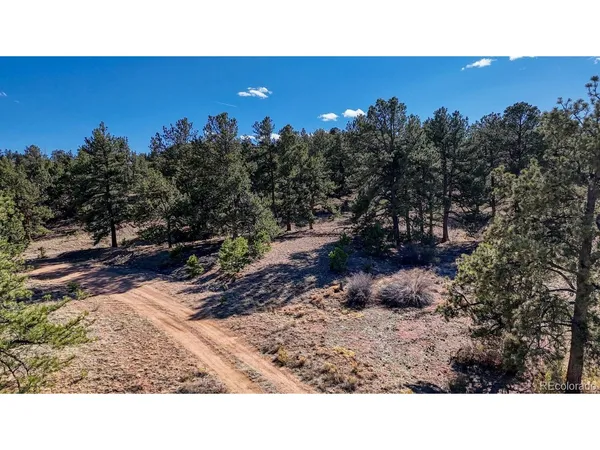 $40,000 | 5124 Arikara Trail, Hartsel, CO 80449