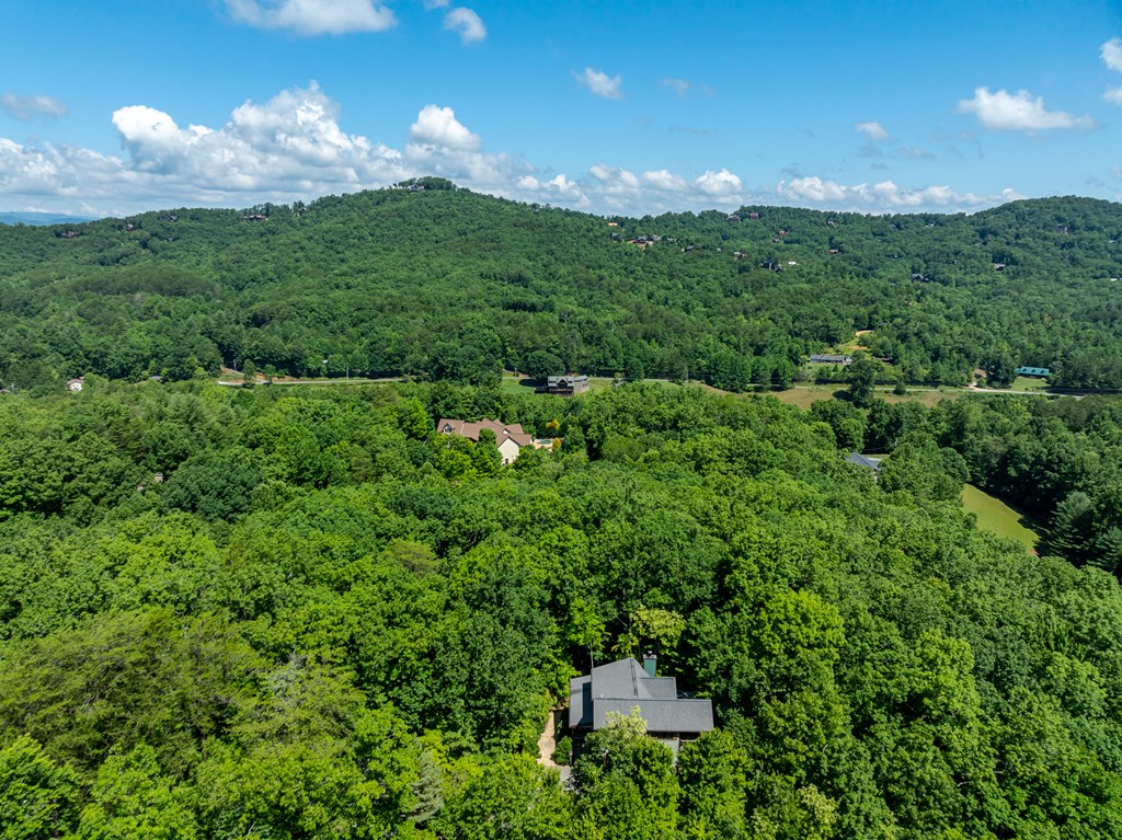 135 Diamond Back Ridge Blue Ridge, GA 30513 - Photo 55 of 60 Gallery Image 55