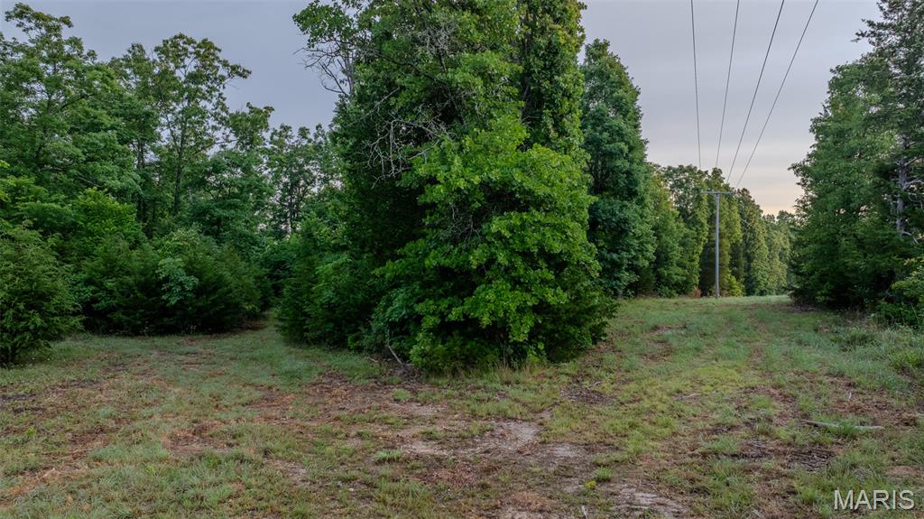 0 Hwy M Cabool, MO 65689 - Photo 43 of 68