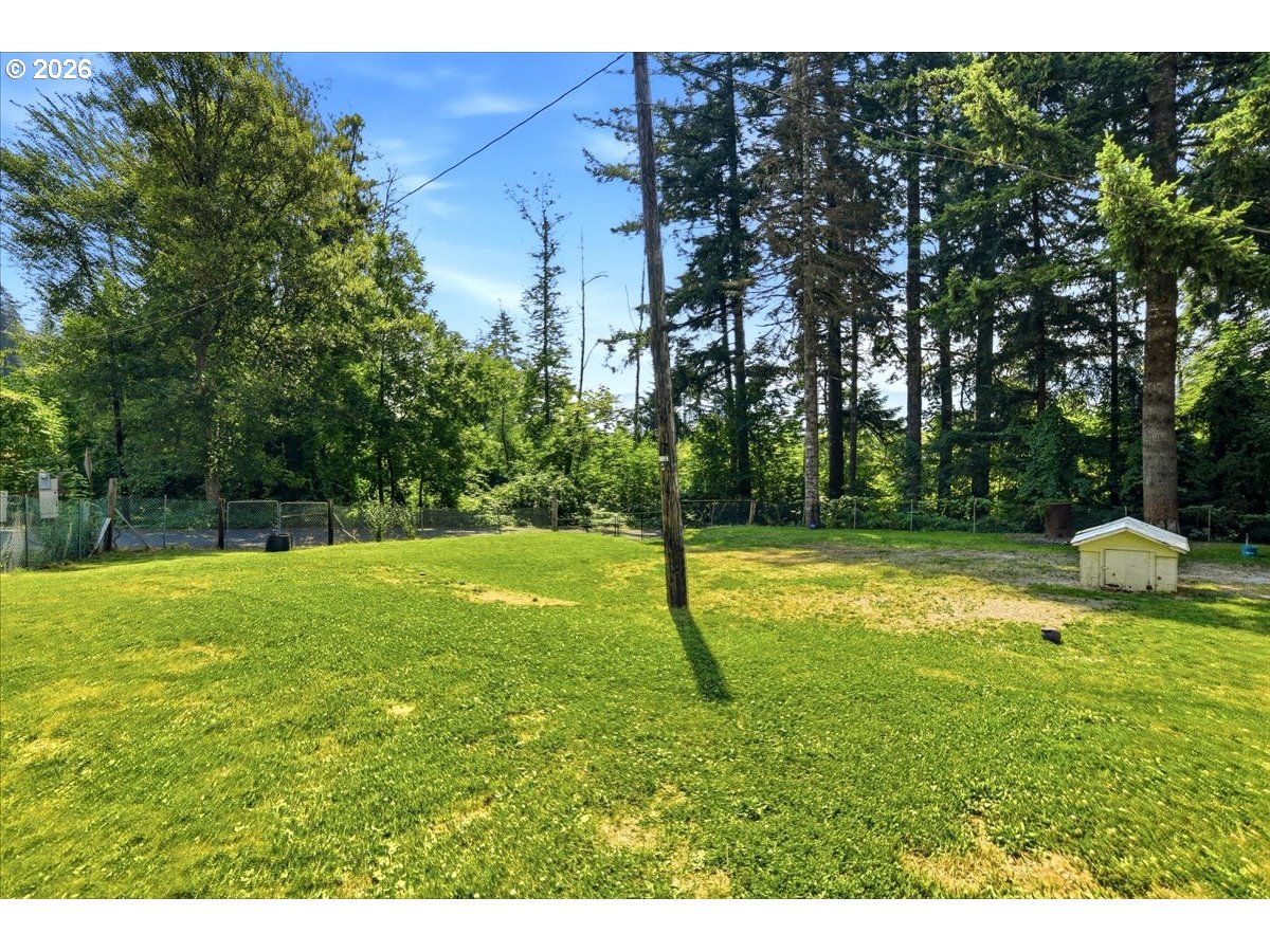 8525 Lewis River Road Ariel, WA 98603 - Photo 22 of 25 Backyard