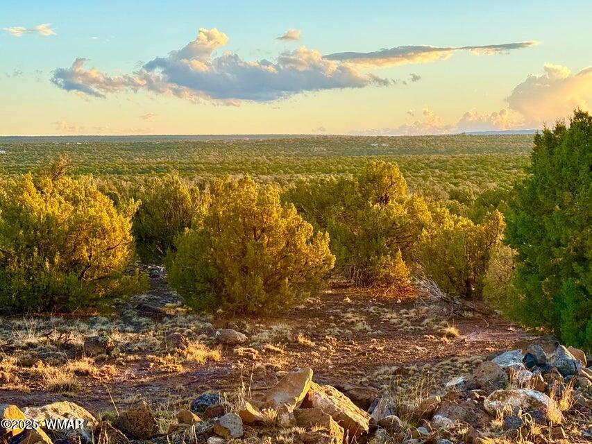 0 Weber Road Show Low, AZ 85901 - Photo 1 of 1 a view of an ocean