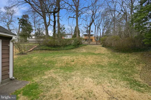 a view of yard with tree