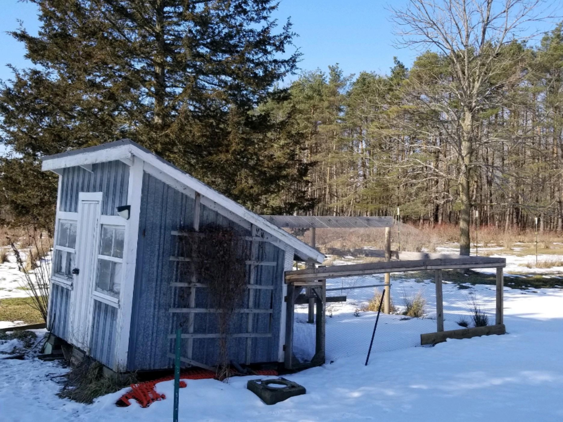19020 Pierson Road Pierson, MI 49339 - Photo 7 of 29 IMG-1274