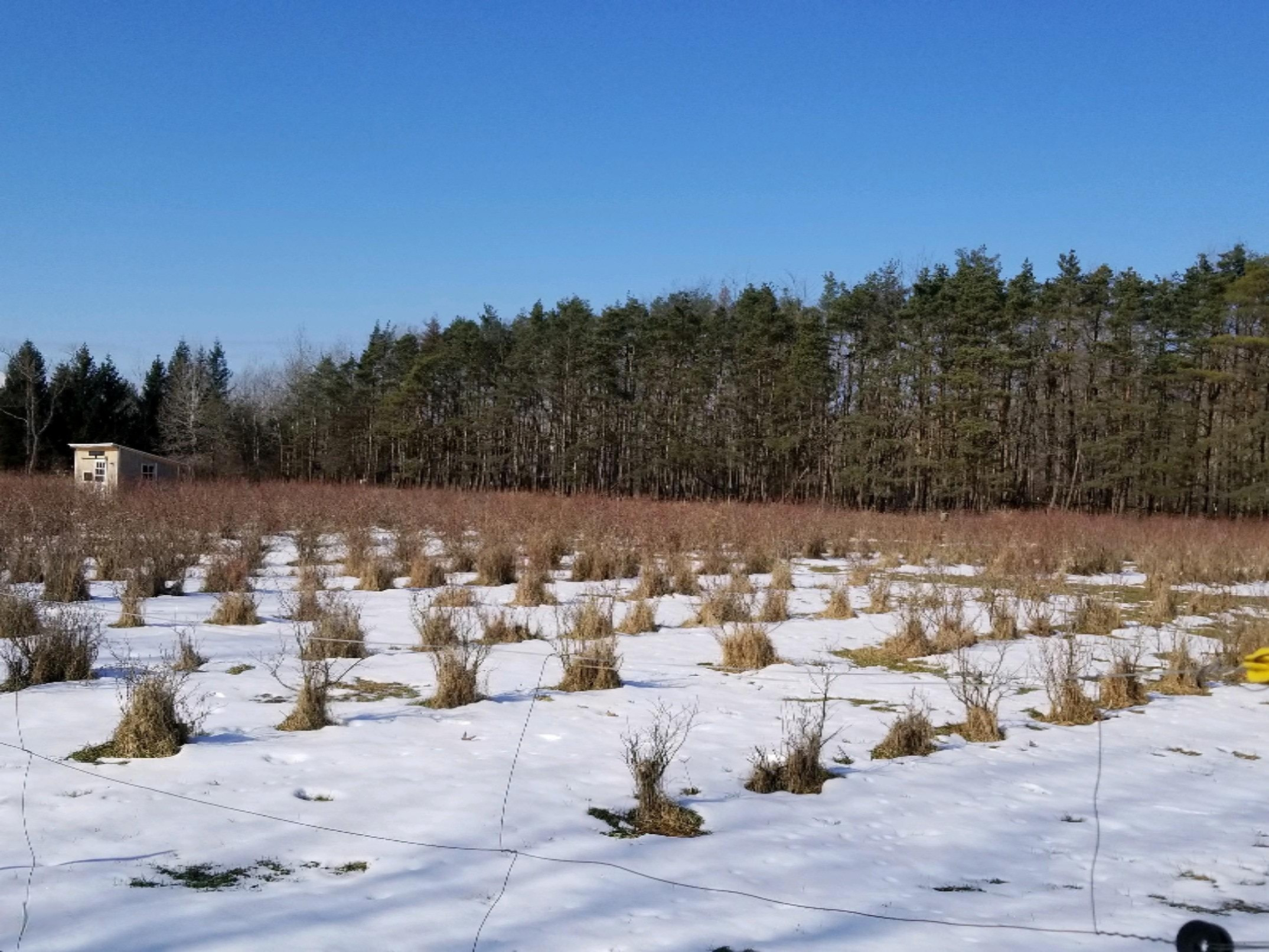 19020 Pierson Road Pierson, MI 49339 - Photo 10 of 29 IMG-1269