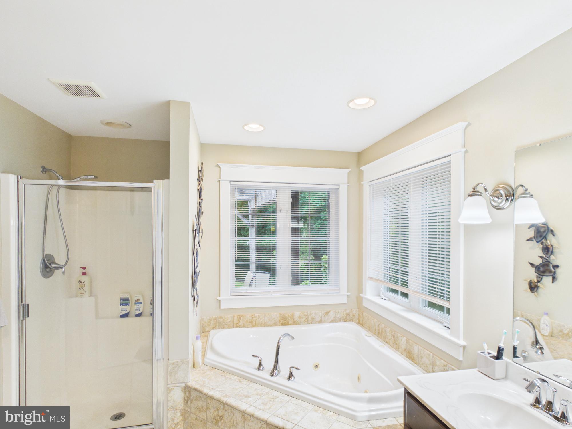 70 Snyder Hollow Road New Providence, PA 17560 - Photo 19 of 32 Primary Bath with Whirlpool Tub & Walk-In Shower
