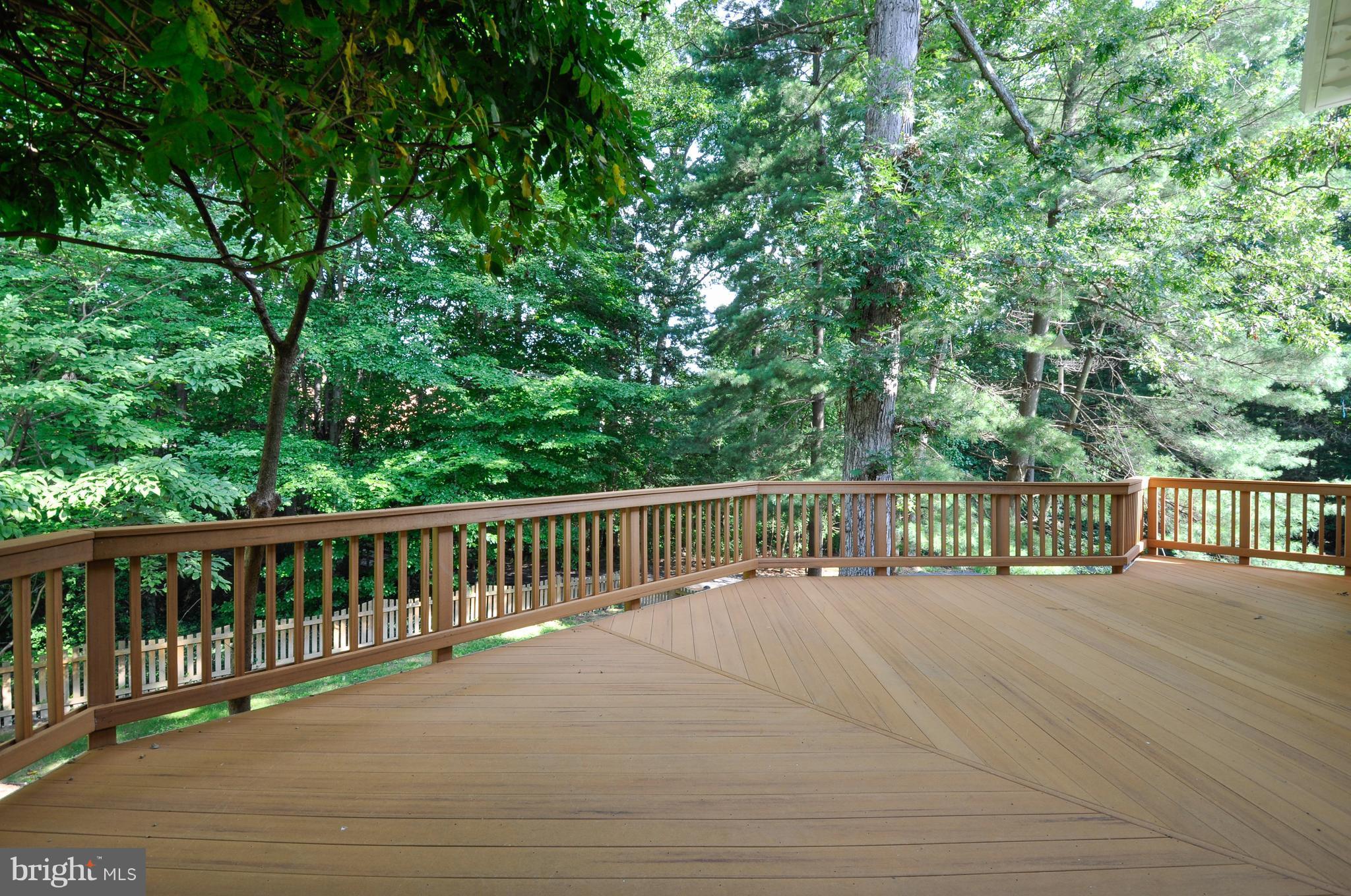 10152 Marshall Pond Road Burke, VA 22015 - Photo 27 of 30 Tranquil Tree Line View