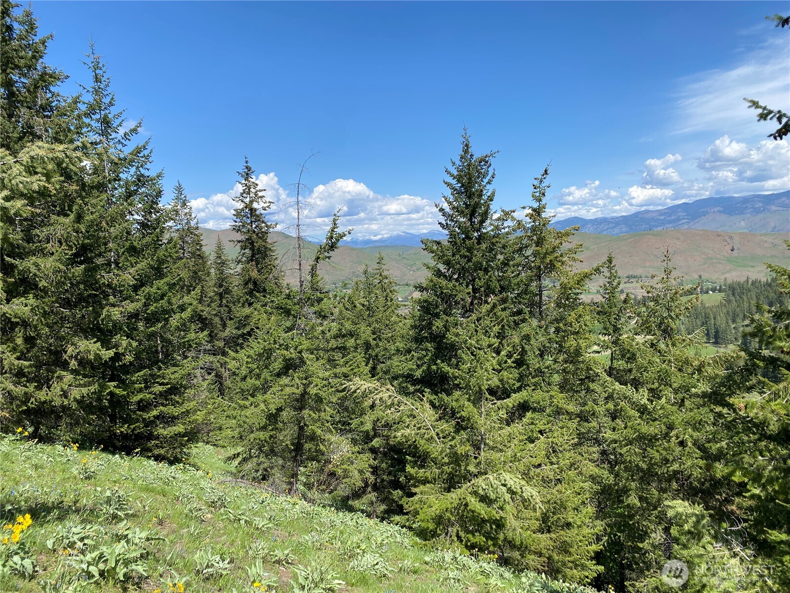 102 Elbow Canyon Road Twisp, WA 98856 - Photo 11 of 33