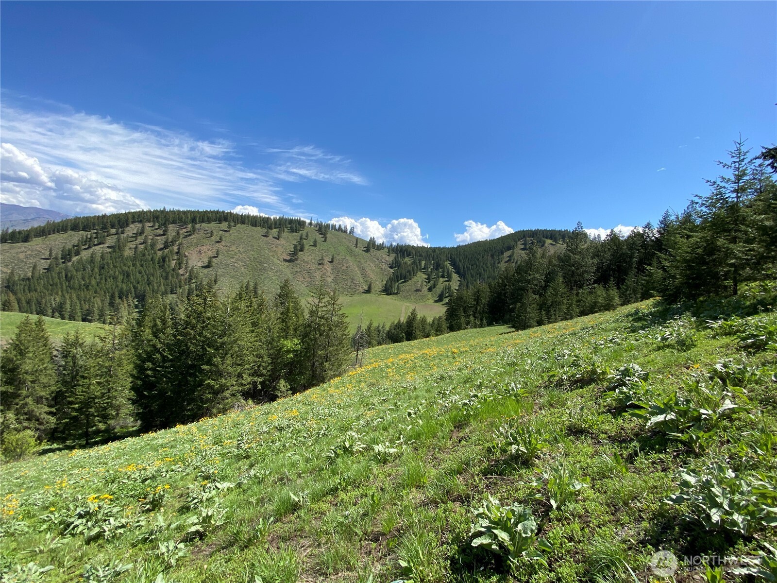 102 Elbow Canyon Road Twisp, WA 98856 - Photo 12 of 33